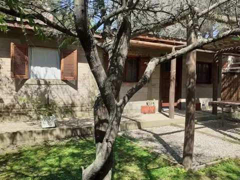 el condor y benteveo