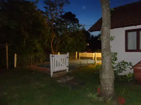 Escarzo Elegancia y Noel