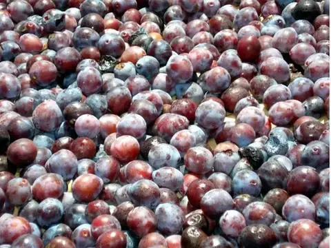 Mariano Moreno y Segovia