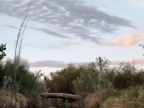 Quinta en Venta 40 años