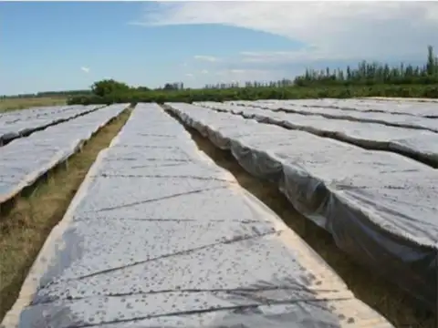 Finca en venta - 2 Dormitorios 1 Baño - 45.000mts2 - Mendoza