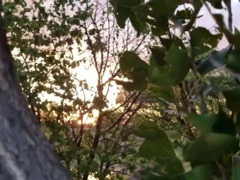 Quinta en Venta con 2 cocheras