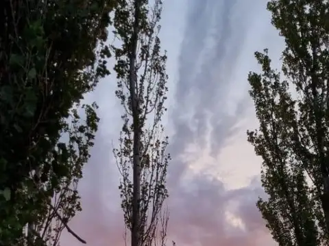 Finca en venta - 2 Dormitorios 1 Baño - 45.000mts2 - Mendoza