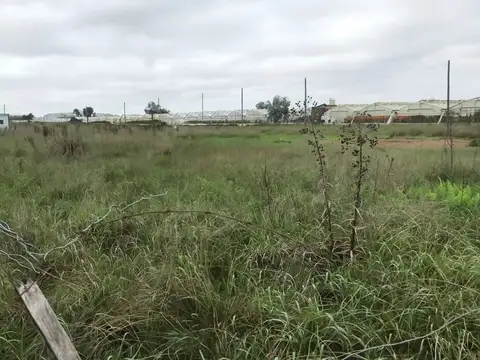 Terreno en Venta en Abasto, USD 9.000