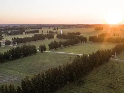 Ruta Nacional 14 km 245