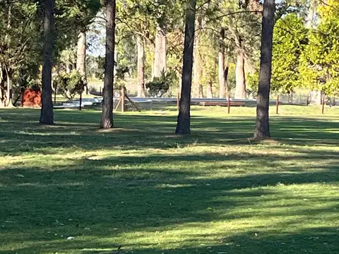 VENTA CAMPO 10 HECTARIAS SOBRE RUTA NAC. 8 KM 79