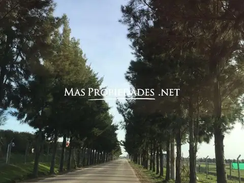 Terreno en Venta 30  mts Frente