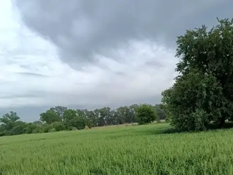 CAMPO DE 15,3 HA AGRÍCOLA GANADERA