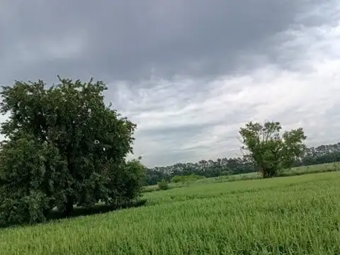 Navarro y Paraná , Piso No definido