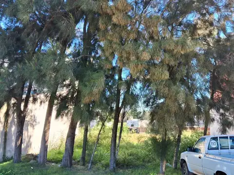 Vicente Linares S/N - Barrio Los Labradores