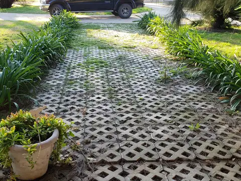 Bv. Doctor Domingo Cabred 1550