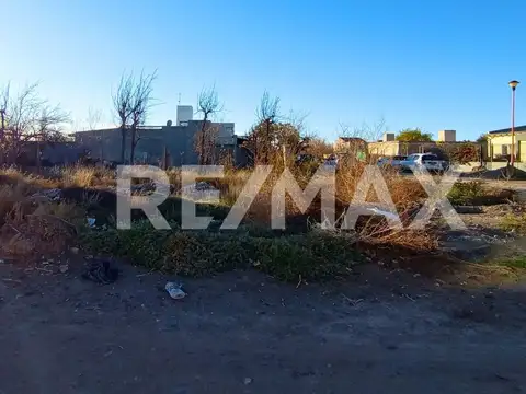 Los Alpatacos y Los Sauces