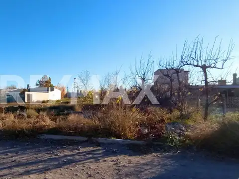 Los Alpatacos y Los Sauces