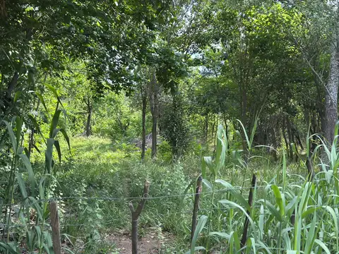 Terreno en venta en Las Chacras