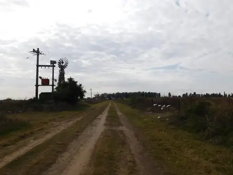 Campo en Venta en Fighiera, Santa Fe