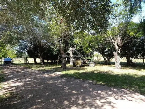 VENTA CHACRA 10 HA. IDEAL INVERSORES Y DESARROLLO EN TORRES RUTA 192 KM 14500