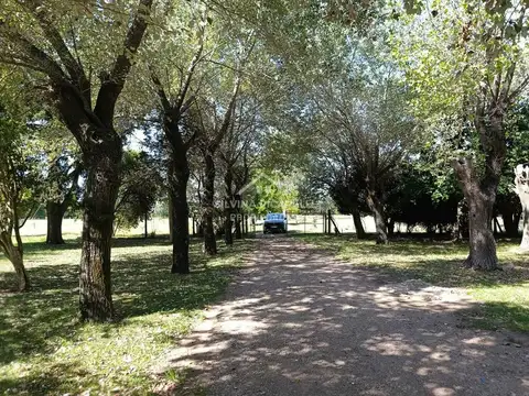 Casa en Venta en Torres, USD 540.000