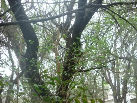 Terreno en Venta en San Marcos Sierra, USD 25.000