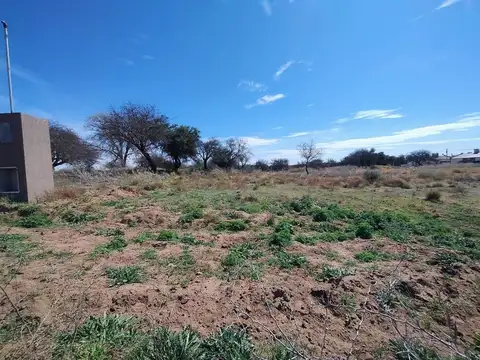 Terreno sobre Rosigolo Cortaderas 3