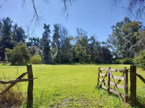 25 de Mayo e/ Federico Lacroze y Leandro N. Alem