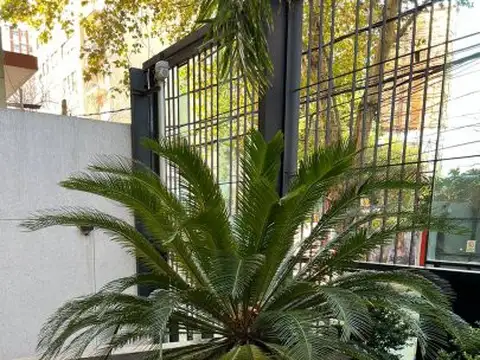 Departamento en Alquiler Temporal de Monoambiente