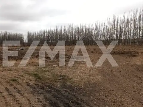 Terreno en Venta de 32890,0 m2