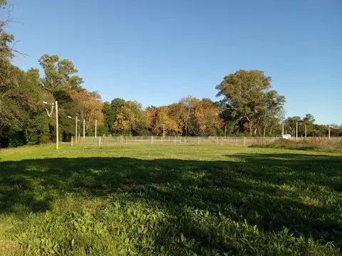 Terreno en Venta en Arturo Segui, USD 24.000