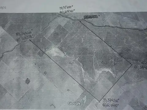 Campo Ganadero en Cepeda – 303 hectáreas.