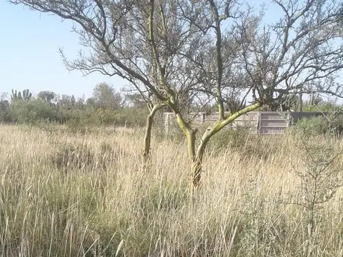 1000 ha - Herrera - Sgo. del Estero