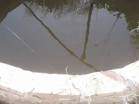 1000 ha en Venta - Herrera - Santiago del Estero