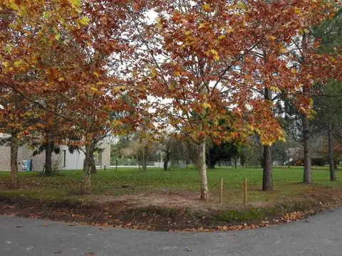 Terreno en Venta de 1200,0 m2