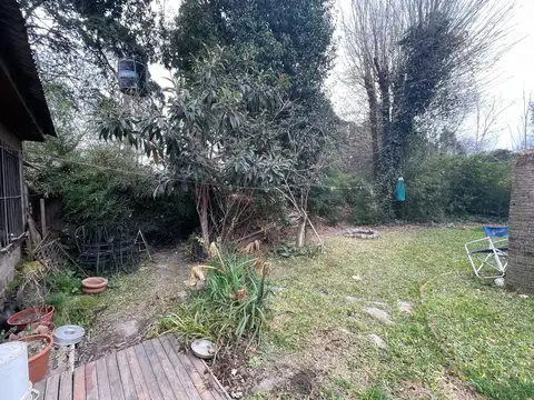 Emilio Battliana 100