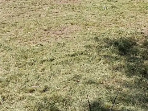 Terreno en Venta 60  mts Frente