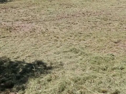 Lote en venta de 1020m2 San Luis en Carpintería