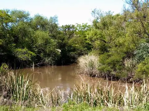 El Saladero  - Atalaya