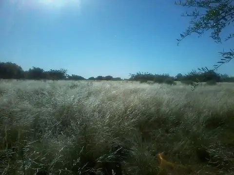 El Saladero  - Atalaya