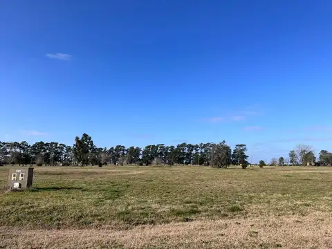 Terreno en Venta en General Madariaga, USD 25.000