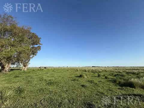 Venta lote de 80 hectáreas  en Arana - La Plata