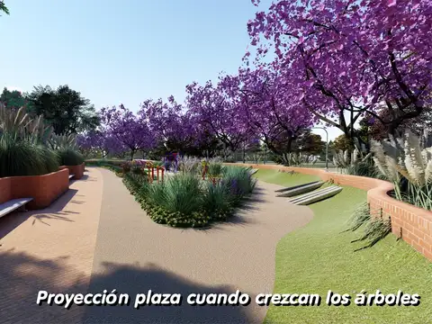 Terreno en Venta 12  mts Frente