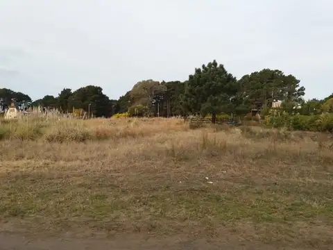 Caseros entre Drago y Alberdi