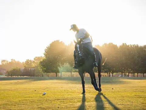 Terreno en Venta en Pilara, USD 320.000