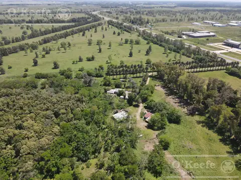 Unico campo en venta de 256 has sobre Ruta 2 - Ideal desarrollo Inmobiliario