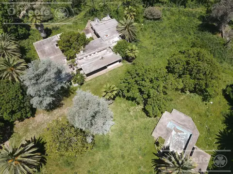 Único campo en venta de 256 has sobre Ruta 2 - Ideal desarrollo Inmobiliario