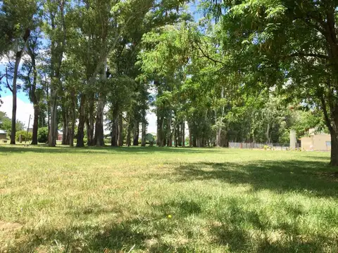 Ruta Provincial 41  kilómetro 172,5