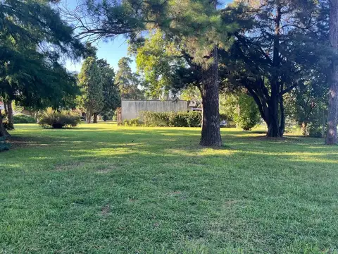 Colectora Countrys 1900