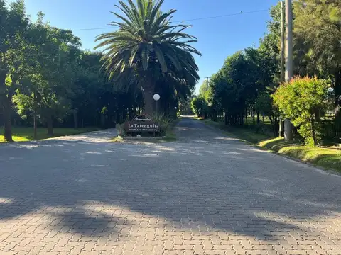 LOTE EN LA TATENGUITA