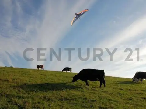 VENTA CAMPO 1470 ha APTO GANADERIA Y AGRICULTURA LOGROÑO