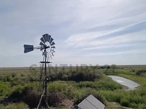 Venta, campo de 1470 ha en logroño, apto ganaderia y agricultura