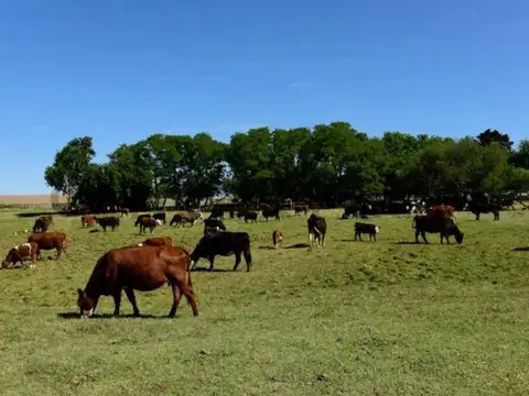 Campo en Venta de 0,15  ha
