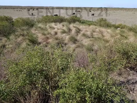Venta, campo de 1470 ha en logroño, apto ganaderia y agricultura